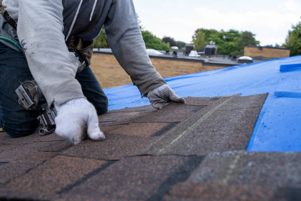 Best Storm Damage Roof Repair  in Liberty, PA